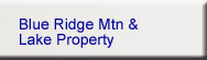 Lake Blue Ridge Property